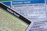 Job ads in newspaper
