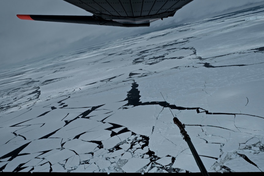 An ice shelf breaking up as seen from the air.