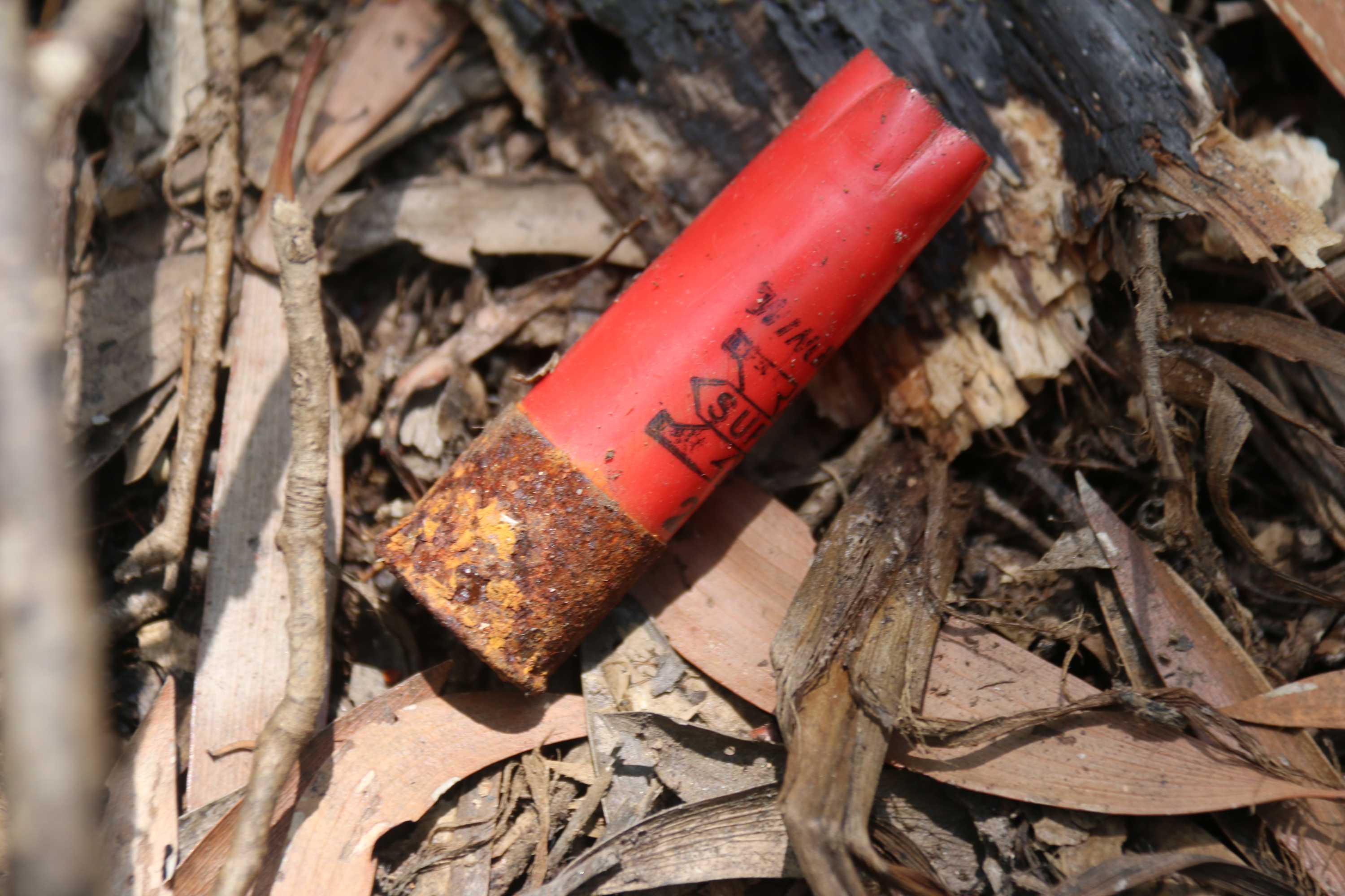 Fears lead levels in NT kids much worse than previously thought ABC News