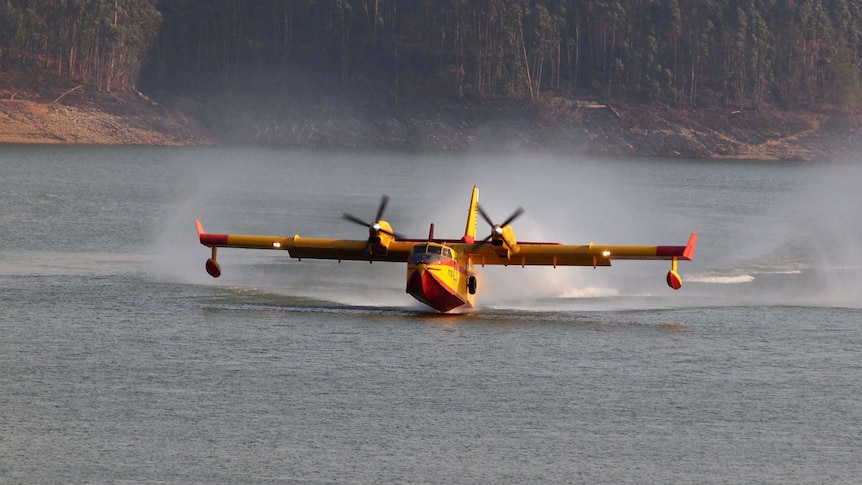 A plane flies low over water.