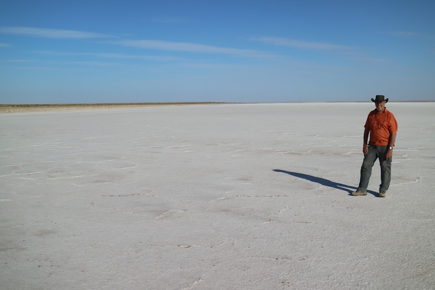 Lake Eyre fills with water and life after decent rain.