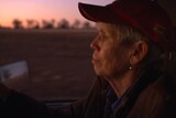 Woman wearing red hat driving a truck at sunrise.
