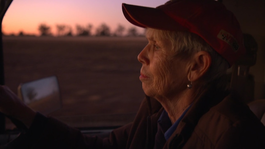 Woman wearing red hat driving a truck at sunrise.