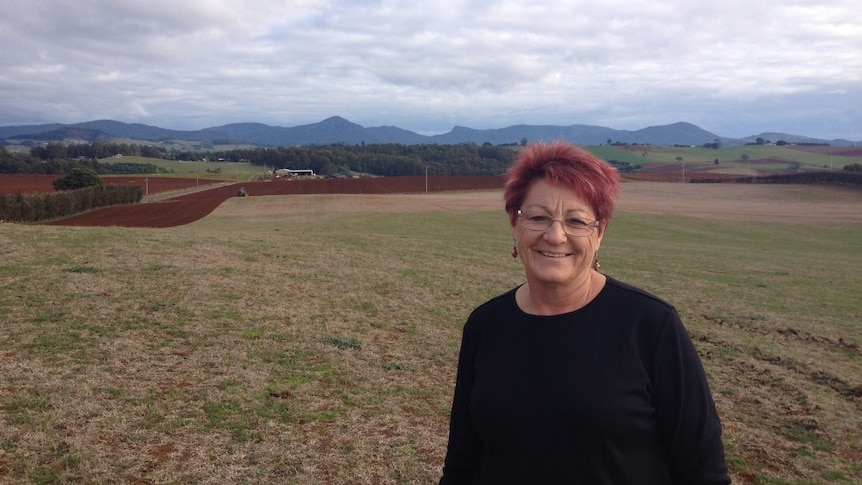 Sue Smith says the government has no appetite for her calls to dismantle Forestry Tasmania