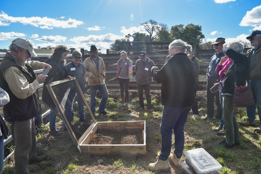 A group of farmers stand around a wooden dung beetle 'nursery' demonstration. Nursery is a wooden base with a framed mesh lid.