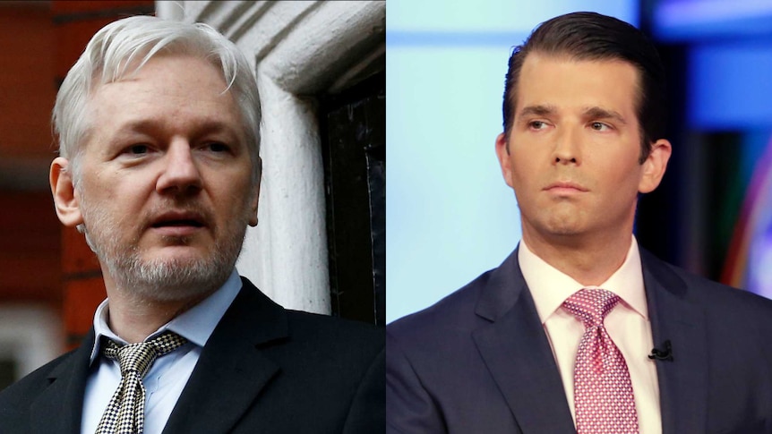 A composite image of WikiLeaks founder Julian Assange and Donald Trump Jr
