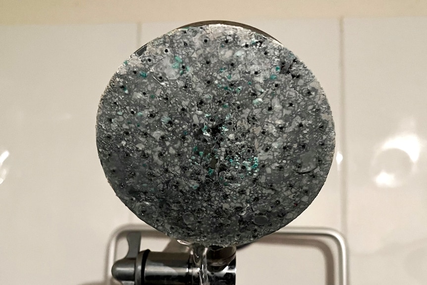 A calcified shower head 