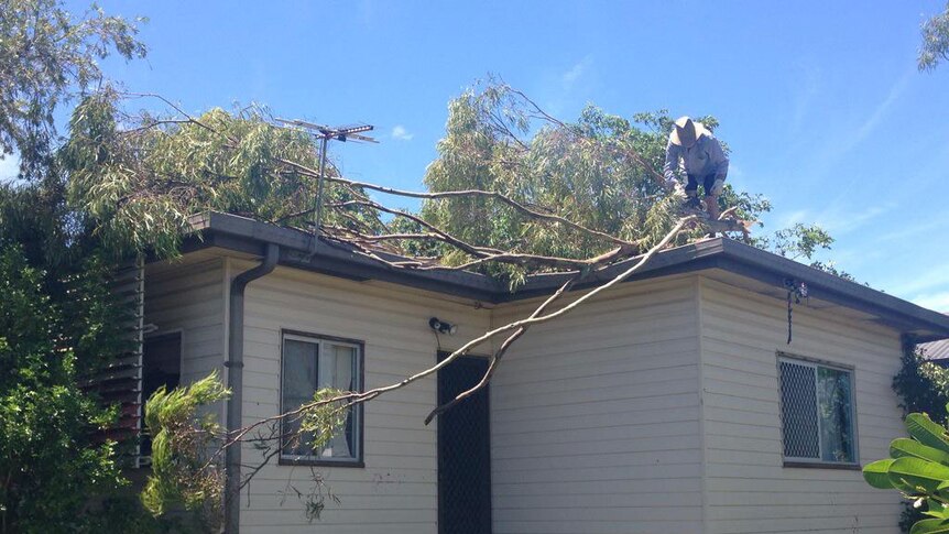 Rockhampton resident Eric Stanley clearing trees off his house after cyclone