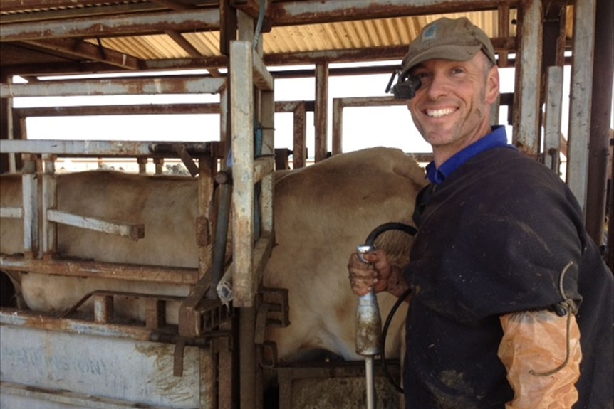 A vet stands with cows in the background. 