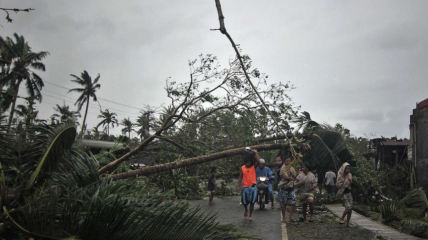Typhoon Hagupit leaves behind trail of destruction in Samar province, central Philippines