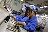 Chinese factory workers assemble electronics