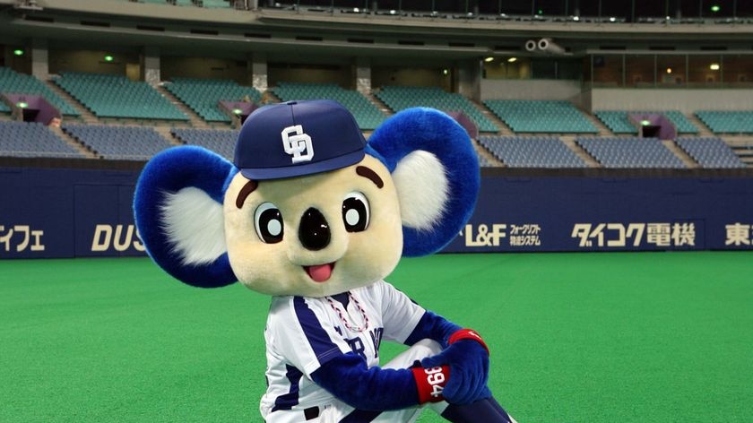 Doala the Koala is an unexpected hit in Japan.