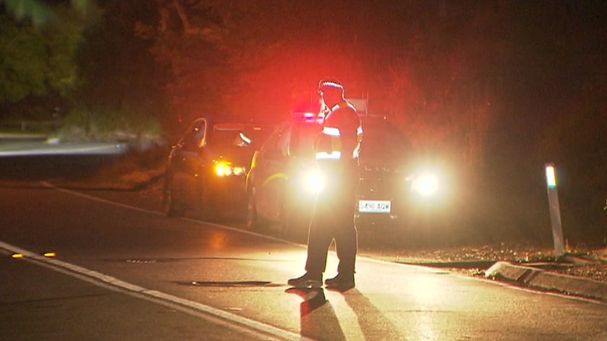 A police officer standing on the road in front of a police vehicle