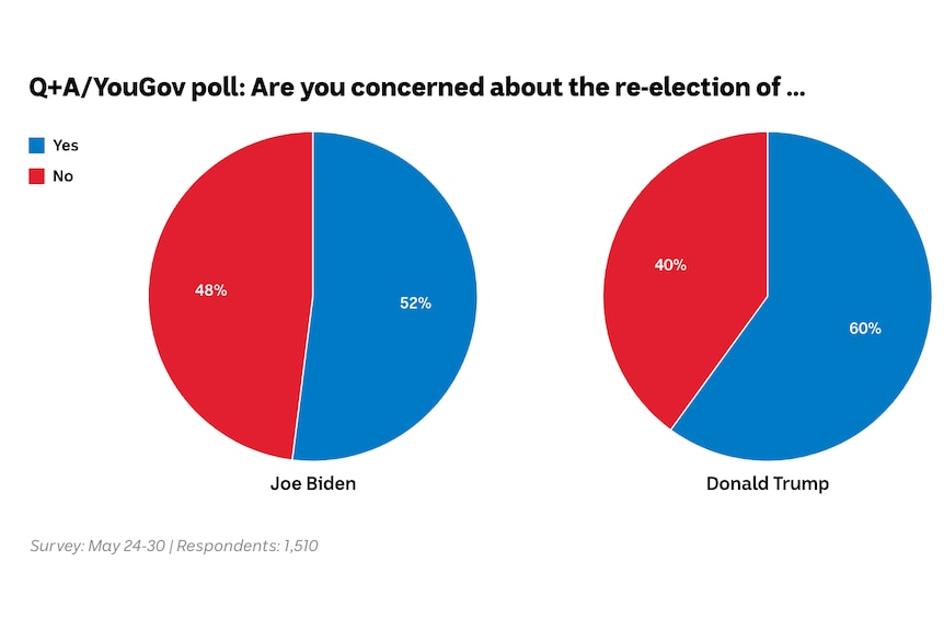 Image shows a pie chart for the question 'Are you concerned about the re-election of ...'