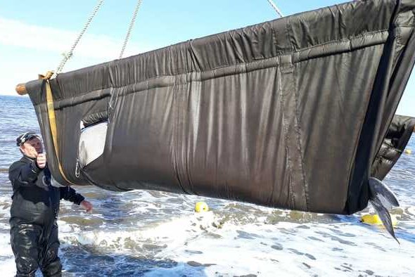 The Russian Research Institute for Fisheries and Oceanology transports whales for release.