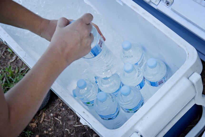 A person reaches into an esky full of water bottles to pull one out. 