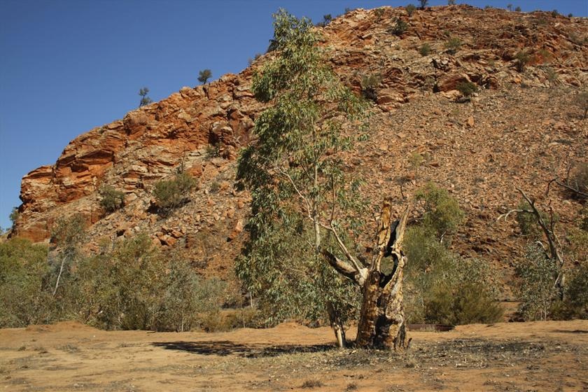 A red rock at Emily Gap