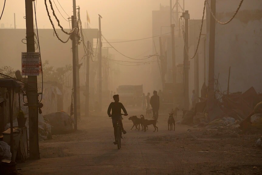 Boy rides bike alonside dogs and other people on a smoggy Delhi street