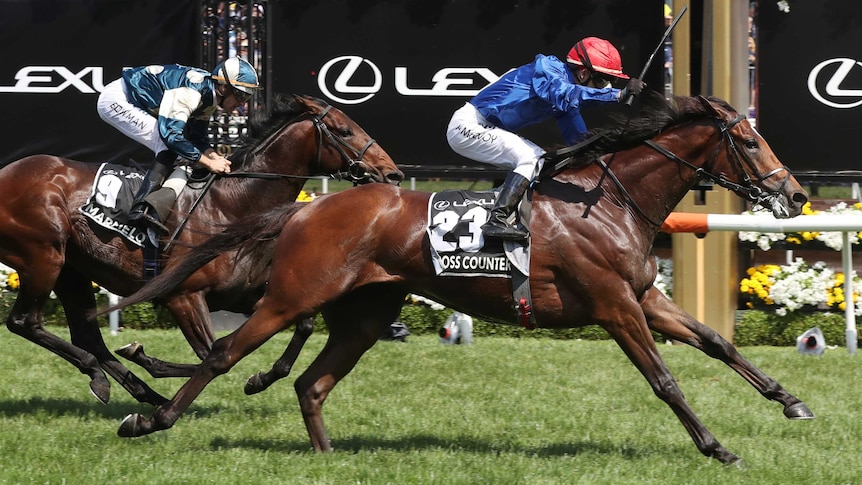 Cross counter flies over the line in the 2019 Melbourne Cup