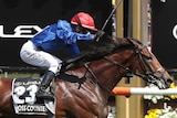 A horse rides over the line with a jockey wearing a blue shirt and red hat waving his arms onboard