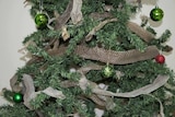 Snake sheds (skins) draped around a green artificial Christmas tree.