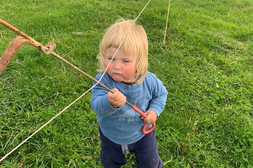 A toddler plays with a portable fence.