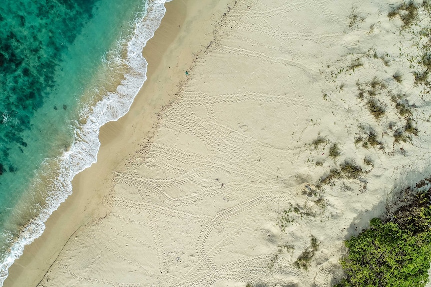 Turtle drone turtle tracks