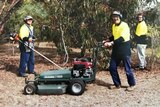Three men performing gardening duties for disability provider Activ