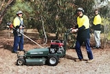Three men performing gardening duties for disability provider Activ