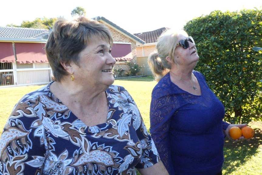 Two women in their 60s looking up at a tree in the garden smiling
