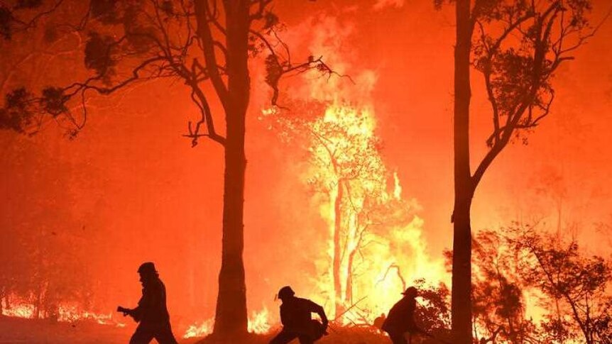 Firefighters silhouetted against a fire ground in the bush, with towering flames roaring among the trees.