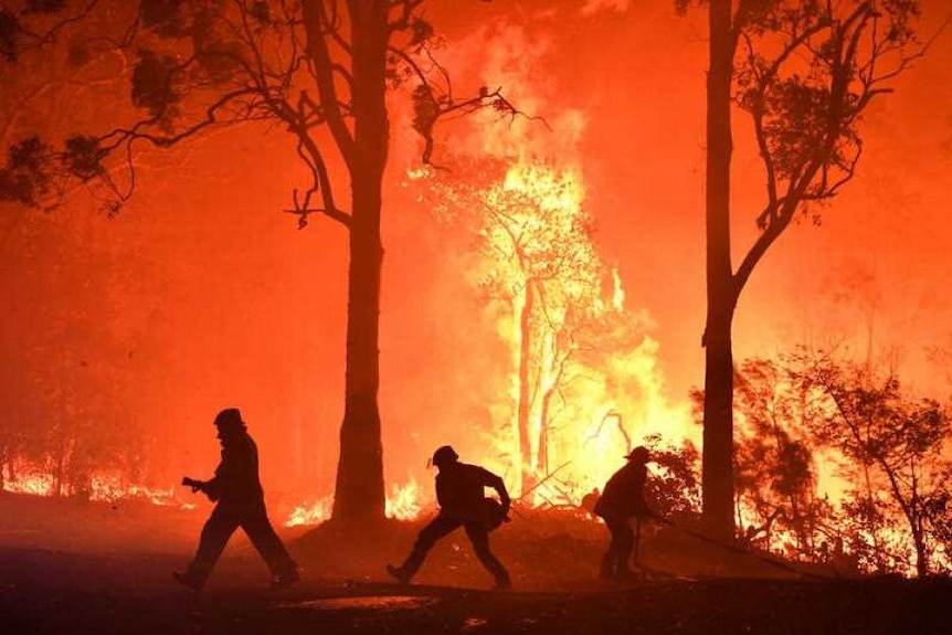 Firefighters silhouetted against a fire ground in the bush, with towering flames roaring among the trees.
