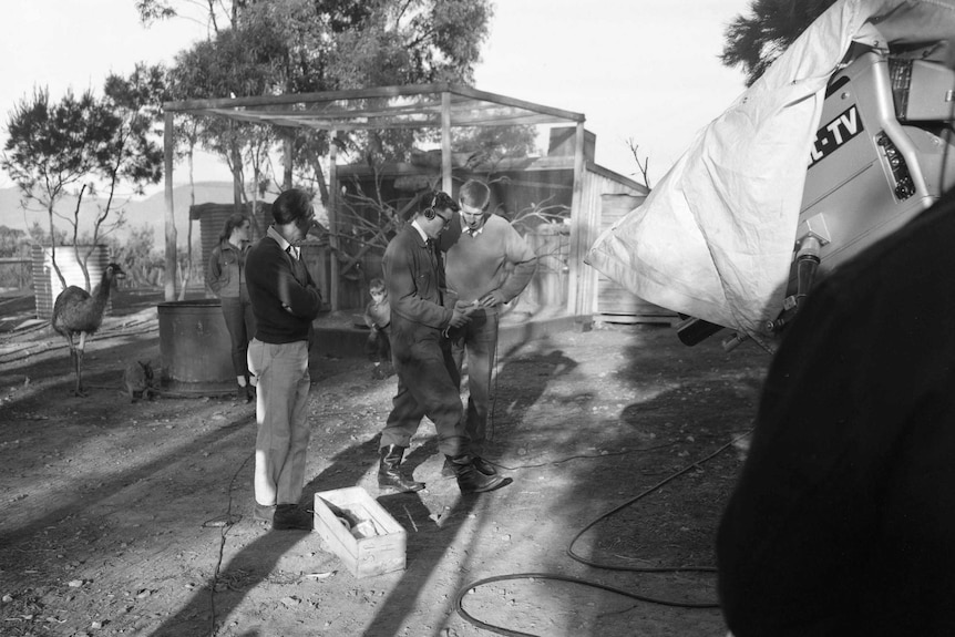 A group of tv staff - a reporter and sound crew - film at a wildlife sanctuary. An emu is in the background