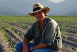 Tully cane farmer Chris Condon crouches on one of his freshly-levelled cane paddocks, ready to be planted