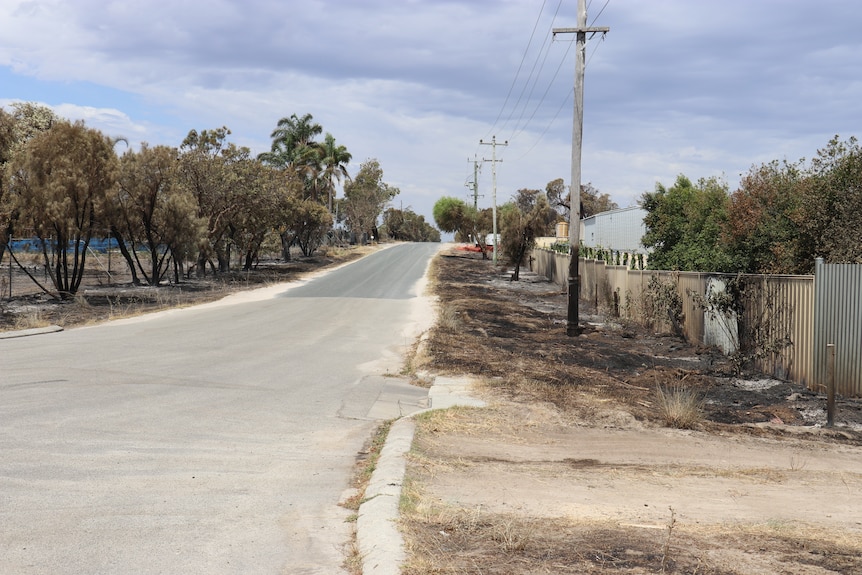 Burnt out bushland on either side of a road