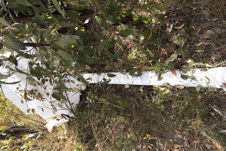 A piece of the plane which looks like a white strut lies in bush.