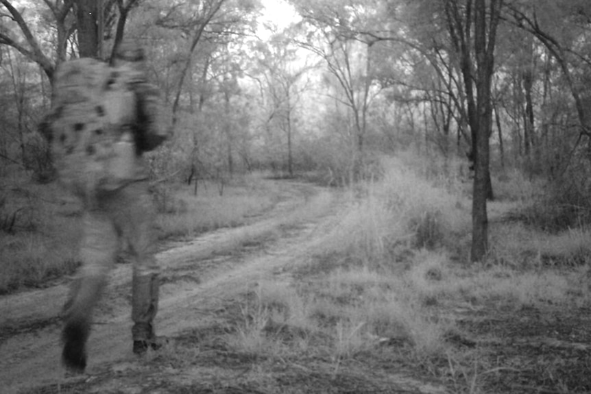 A man in a backpack walking away from the camera on a dirt road in bushland
