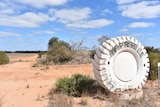 Large white painted tractor tyre with ' Napandee' name appearing across the top in faded green tape.