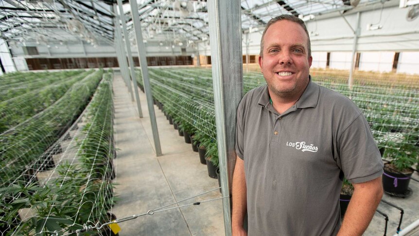 A man stands in a marijuana greenhouse smiling