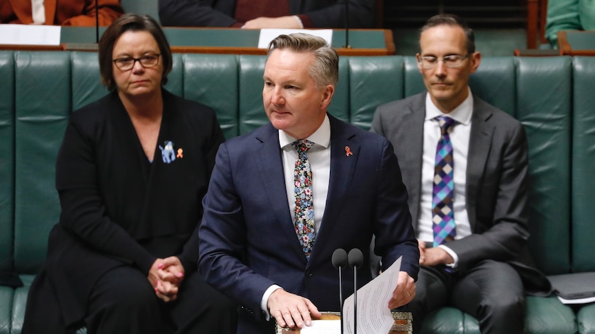 Chris Bowen in the chamber