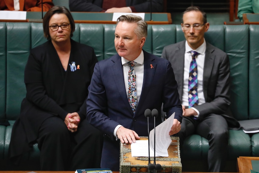 Chris Bowen in the chamber
