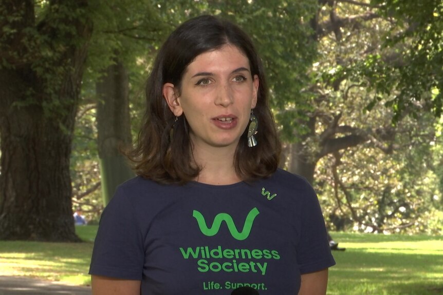 A woman with brown hair wearing a t-shirt that says "wilderness society".