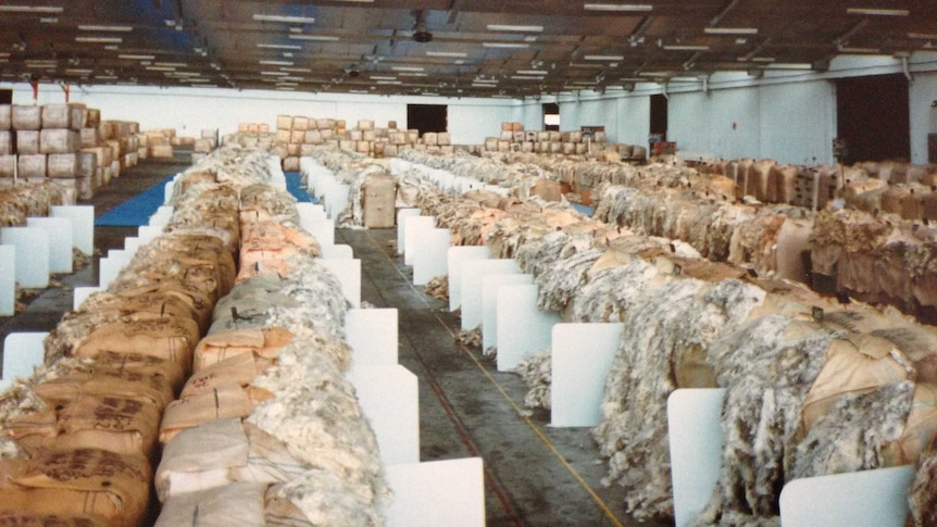 A shed full of wool bales in the early 1980s.