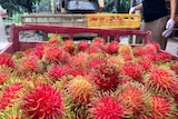 Trays of bright, red, rambutans