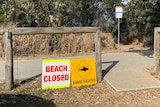 Beach closed and shark sighting signs at Salt Beach near Kingscliff