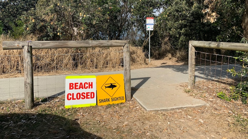 Beach closed and shark sighting signs at Salt Beach near Kingscliff