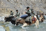 A group of Chinese soldiers ride yaks through a clea, rocky mountain stream.