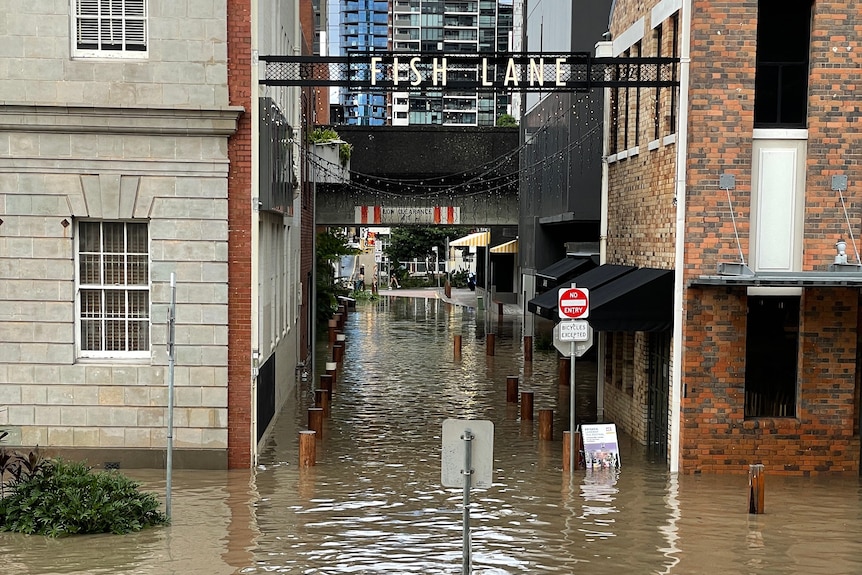 Flooding on a narrow street with a sign above it saying Fish Lane