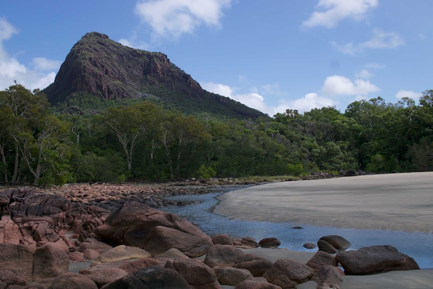 Hill, trees, rocks and creek