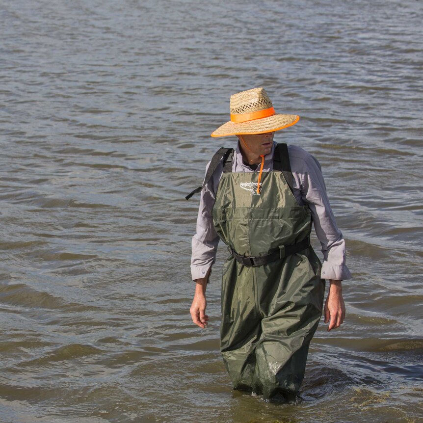 a man in full length overall waders and a big sunhat is in knee deep water.